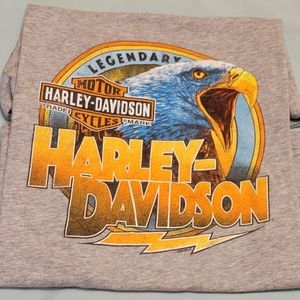 Harley-Davidson Heather Grey Cherokee North Carolina Tee size XL